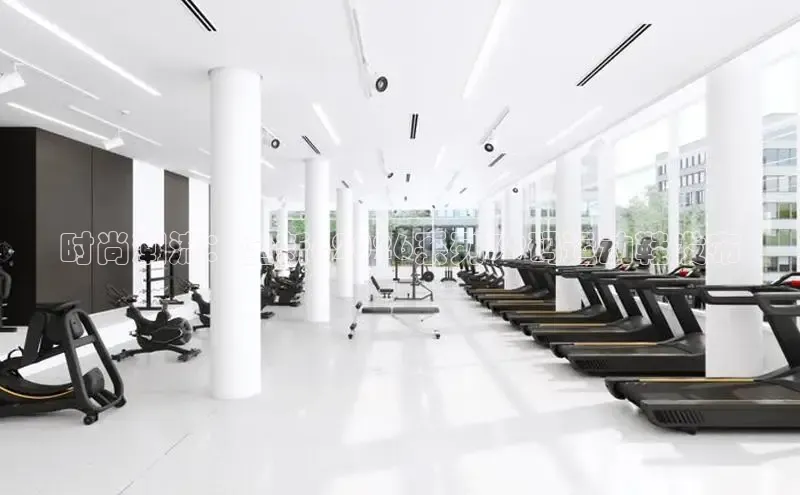BSsports官方网站