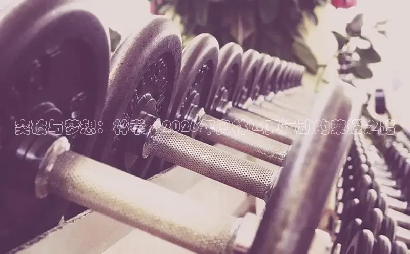 必一运动bsports官网